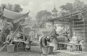 Voeden van Zijderupsen en Sorteren van Cocons, gegraveerd door A. Willmore